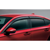 Door visors